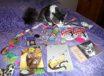 Anakin The Two Legged Cat's First Birthday presents