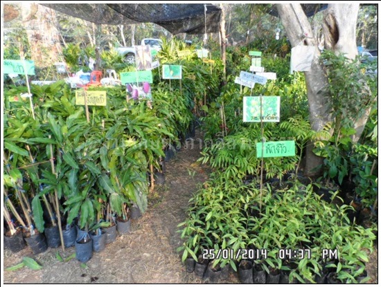'งานเกษตรภาคอีสาน ขอนแก่น 2557