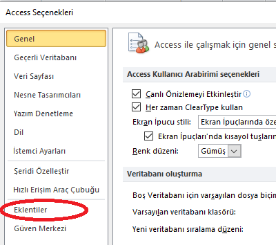 Access Menülerinin Tanıtımı-24