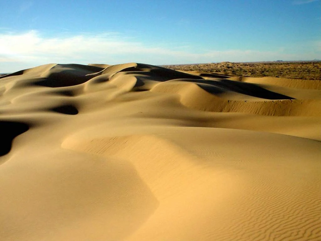 Sonoran Desert