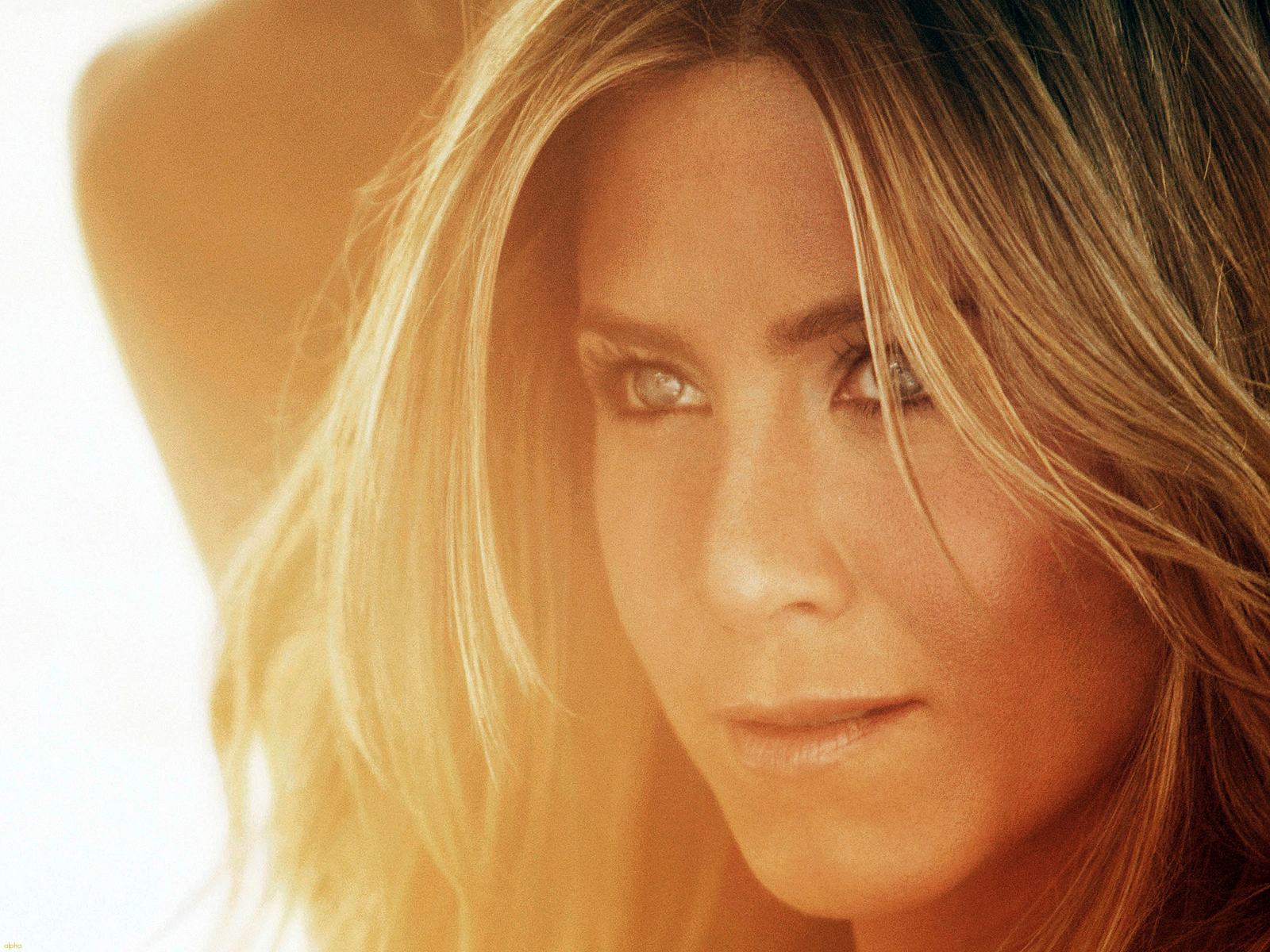 Jennifer Aniston hd wallpaper