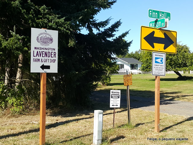 fazendas de lavanda estados unidos