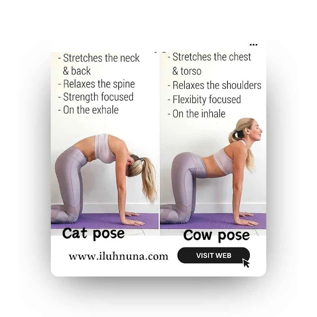 cat cow pose