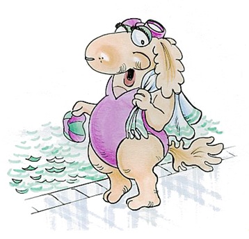 swimmer