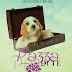 Anteprima 21 marzo: "Pazza di te" di Jennifer Crusie