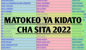 NECTA Form Six Results 2022 | Matokeo ya form six 2022