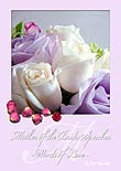 mobbookcover Mother of Bride Speeches