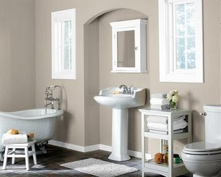 Bathroom Paint Color Ideas