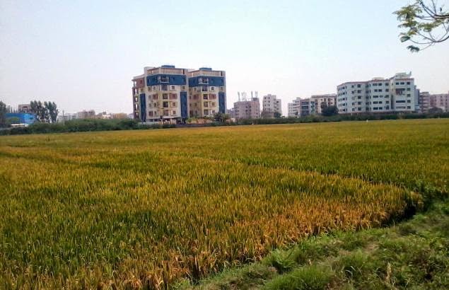 Real Estate in Chennai