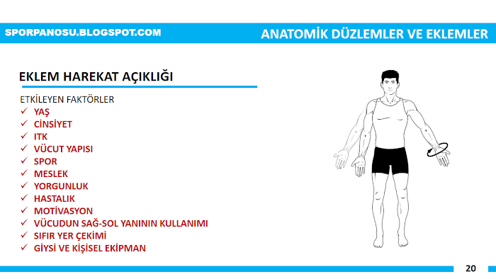 Spor Anatomisine Giriş 20