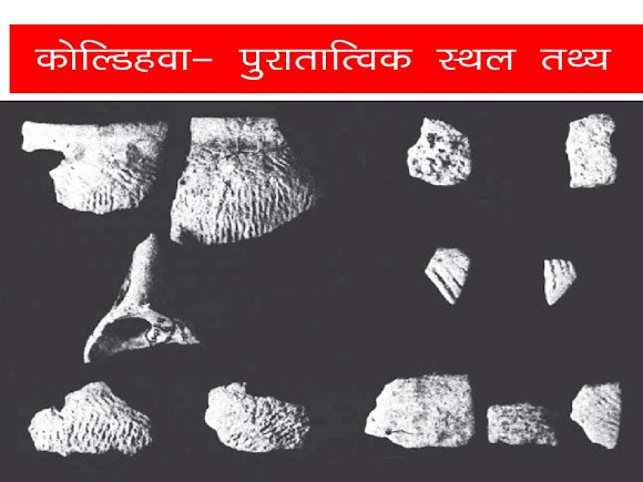 कोल्डिहवा पुरातात्विक स्थल प्रमुख तथ्य | Koldihwa Archaeological Site Fact  in Hindi