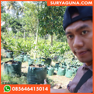 planter bag 50 liter dari surya guna 085646415014