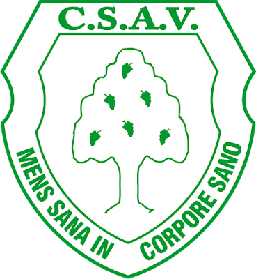 CLUB SPORTIVO ÁRBOL VERDE (CONCEPCIÓN)