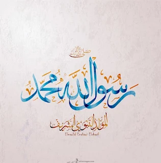 صور مولد النبى 2019