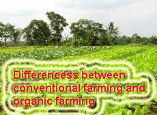 "conventional farming, organic farming"