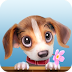 Pet Island – Build Breed Grow MOD APK 39.0.1 (Mod Money) 