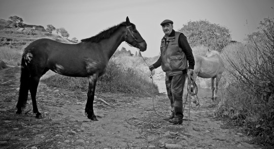 Άνδρος Λιβάδια Μαρία Λαμπριάδου Μεγάλος ποταμός άλογα