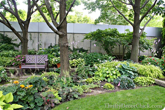 shade garden shade garden
