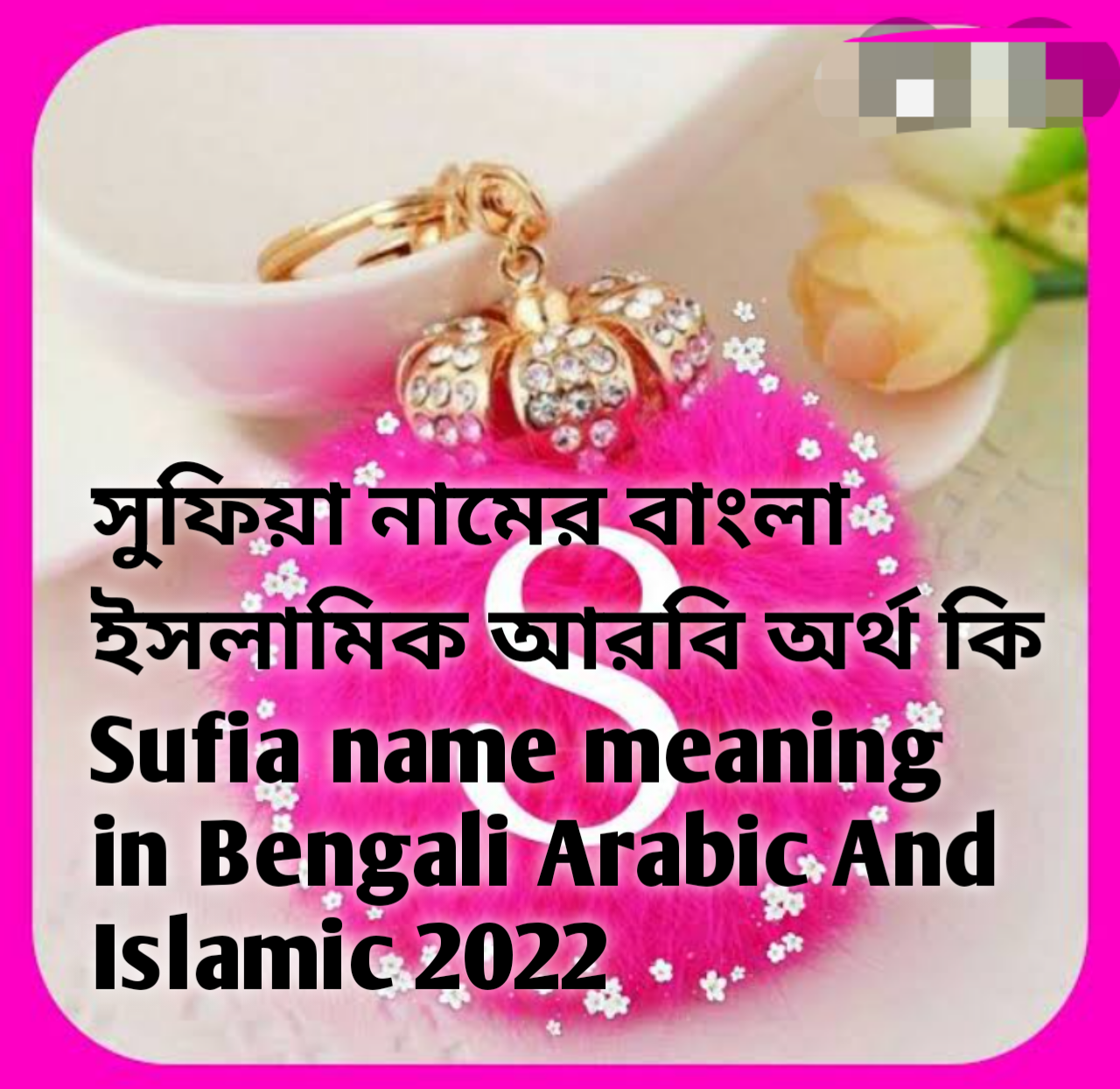 Sufia name meaning in Bengali, Sufia name meaning, সুফিয়া নামের অর্থ কি, Sufia namer ortho ki, সুফিয়া নামের বাংলা অর্থ কি, সুফিয়া নামের ইসলামিক অর্থ কি, সুফিয়া নামের আরবি অর্থ কি, সুফিয়া নামটি কি আরবী নাম, সুফিয়া নামটি কি ইসলামিক নাম