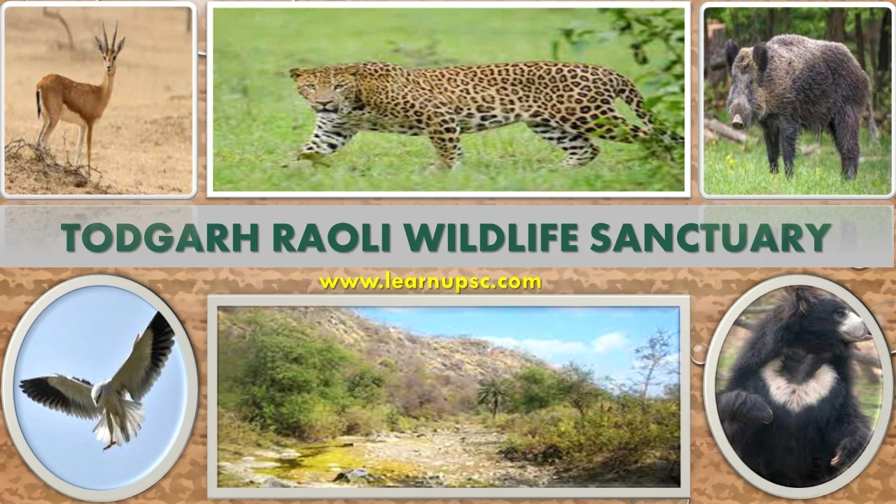 Todgarh Raoli Wildlife Sanctuary