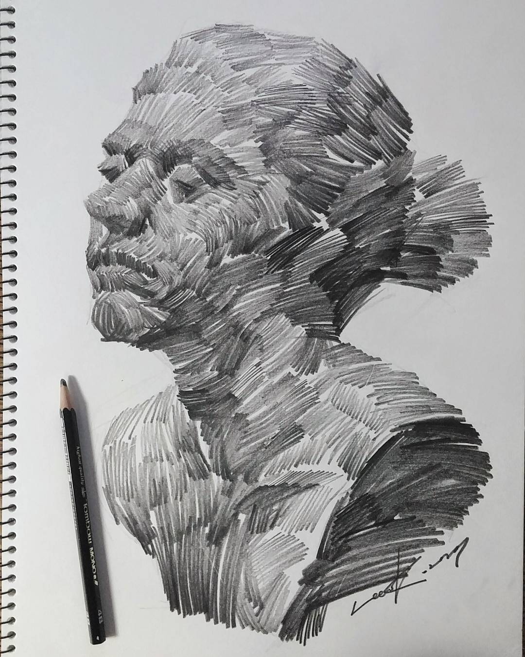 pencil drawing