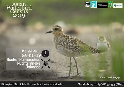 Asian Waterbird Census 2019