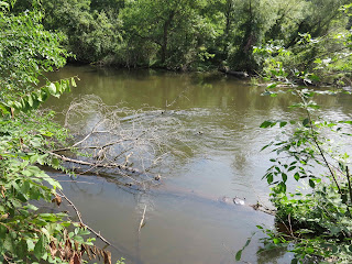 Marshall Riverwalk