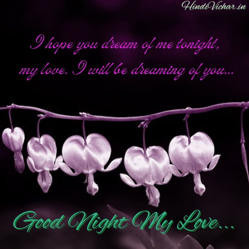 Good Night My Love Images