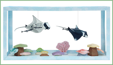 Aquarium Papercraft Manta Ray Remora