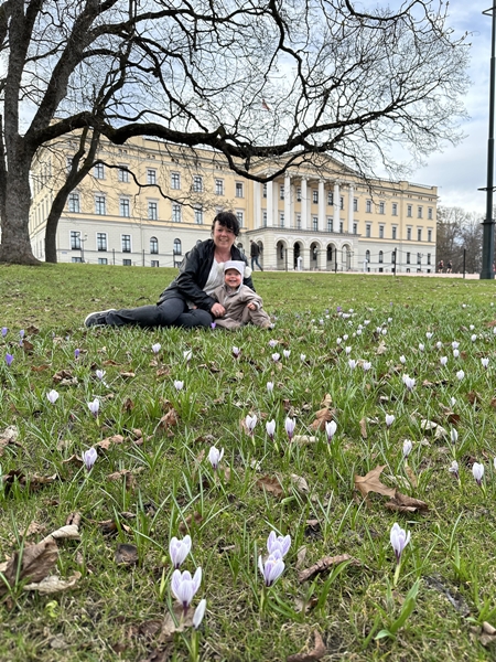 slottet oslo krokus