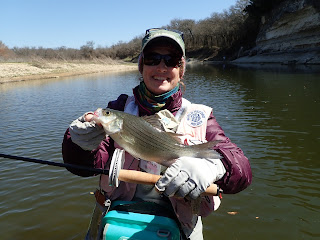 Julia Hopson Bell, White Bass, Fly Fishing for White Bass, White Bass in Texas, Texas Freshwater Fly Fishing, Fly Fishing in Texas, Texas Fly Fishing, TFFF, White Bass Fishing