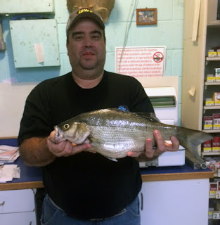 white bass, fishing, Missouri