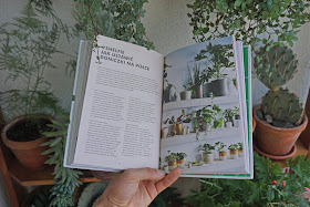książka o roślinach pokojowych