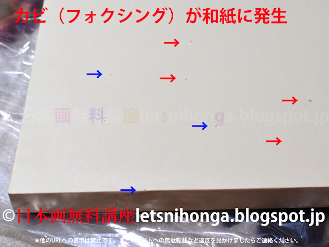 日本画和紙にフォクシング（カビ）の発生を確認・除去を試みた