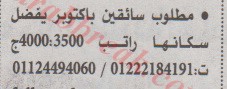 اهم وافضل الوظائف اهرام الجمعة وظائف خلية وظائف شاغرة على عرب بريك