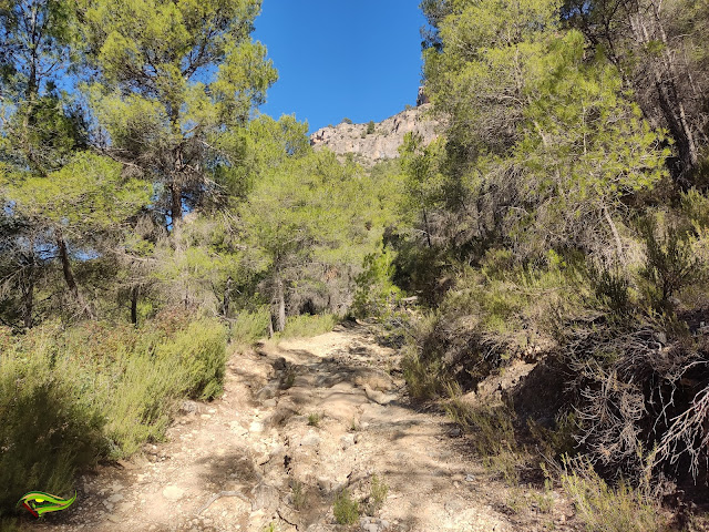 Río Alhárabe, Barranco de Hondares y pasos de El Poyato y El Toril
