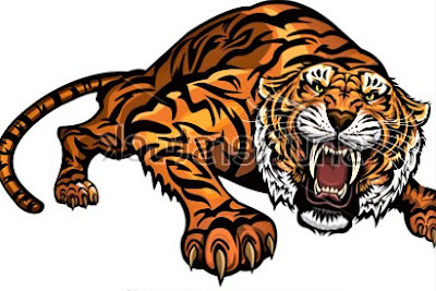 tiger clipart imeges