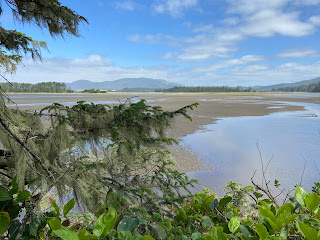 Sitka Sedge Natural Area - View of Sand Lake.