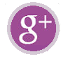  Google+