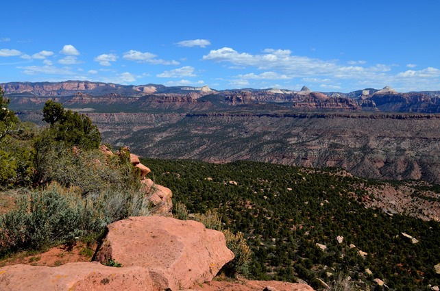 Monkey Mesa_015