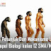 Materi Petunjuk Dan Mekanisme Evolusi Mapel Biologi kelas 12 SMA/MA