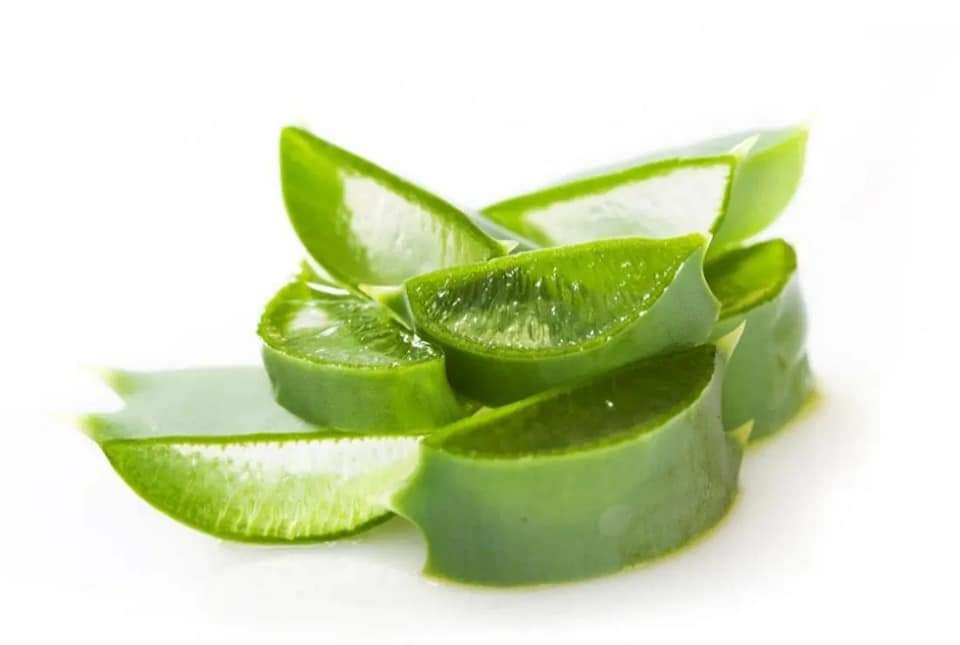 Nine health benefits and medical uses of Aloe vera