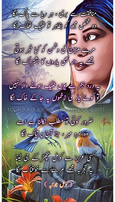 Komal Joya Urdu Ghazal Images and text