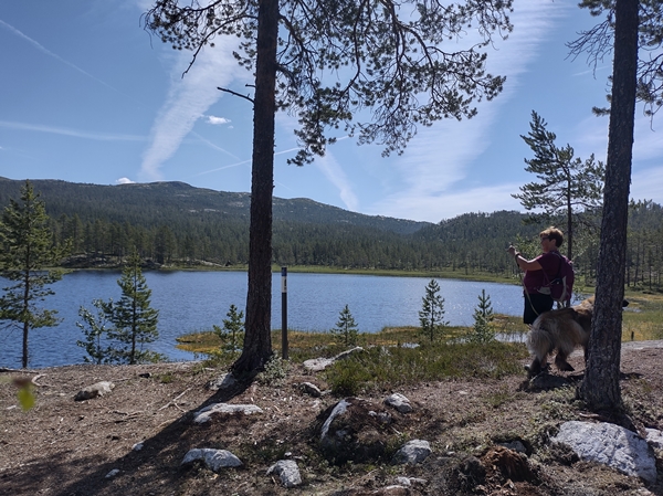 hallingdal flå turufjell stolpejakt