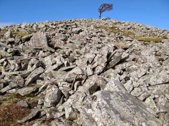 A pile of broken rocks approximately 1 to 3 feet in size with jagged edges shows evidence of frost shattering.