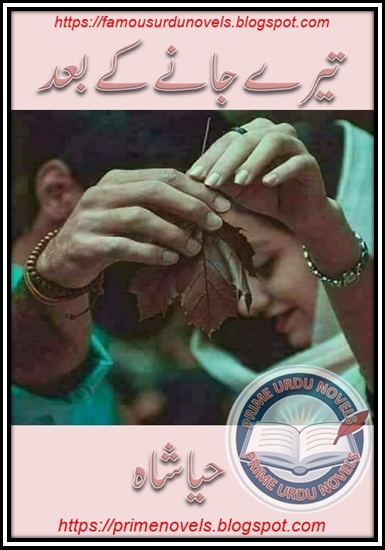 Free online reading Tere jany ke bahd novel by Haya Shah Complete