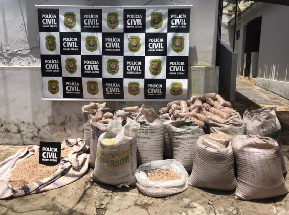 Polícia recupera 800 kg de feijão em Santo Antônio do Amparo