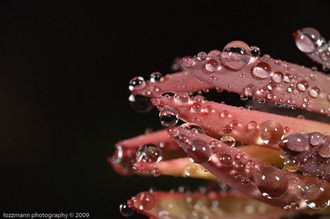LT3_09510