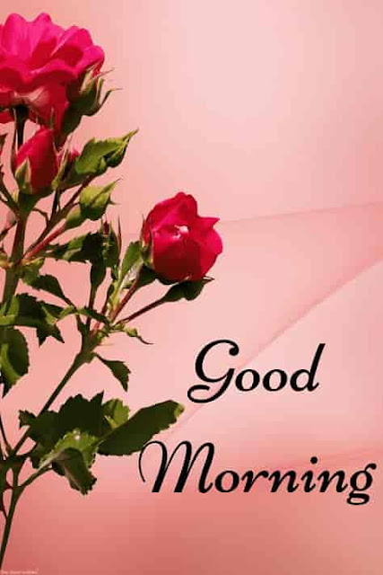 amazing good morning images hd