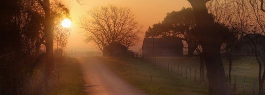 Uniquely Texas Screensaver